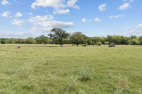 0 Fm-149 E, Richards, TX 77873 photo 15