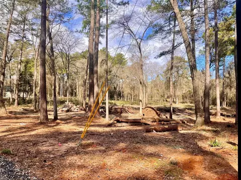 11253 Greenway Dr, Plantersville, TX 77363