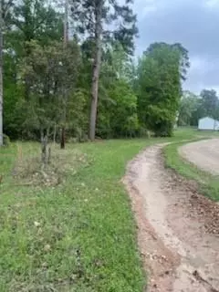 lot51 52 Sabine Dr, Trinity, TX 75862