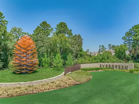 View/Area - 13147 Soaring Forest Dr, Conroe, TX 77302 photo 3 of 10