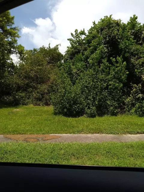 0 Gunter St, Houston, TX 77020
