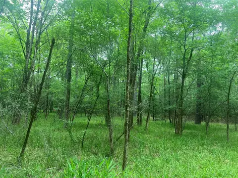 Other - 00 Wilderness Rd, Point Blank, TX 77364 photo 4 of 14