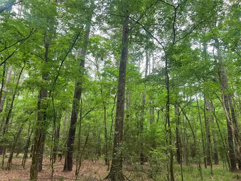 Other - 00 Wilderness Rd, Point Blank, TX 77364 photo 7 of 14