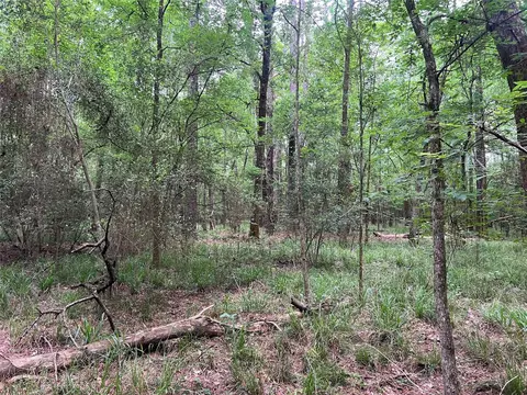 Exterior - 00 Wilderness Rd, Point Blank, TX 77364 photo 2 of 2