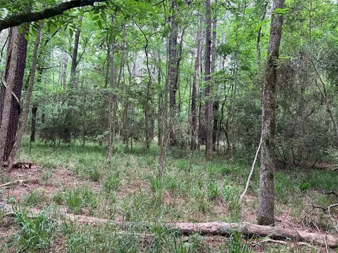 Other - 00 Wilderness Rd, Point Blank, TX 77364 photo 9 of 14