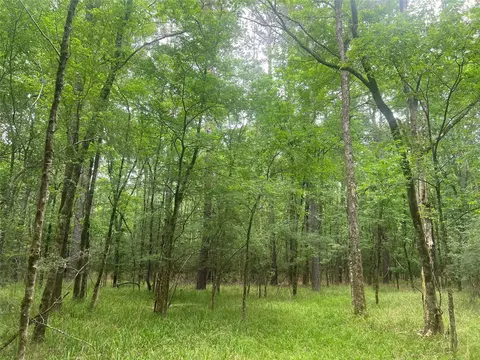 Other - 00 Wilderness Rd, Point Blank, TX 77364 photo 5 of 14