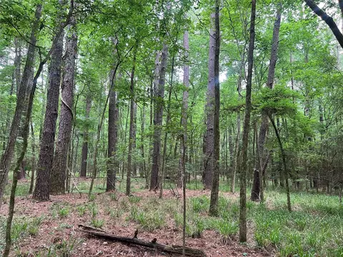 00 Wilderness Rd, Point Blank, TX 77364