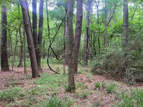 Other - 00 Wilderness Rd, Point Blank, TX 77364 photo 8 of 14