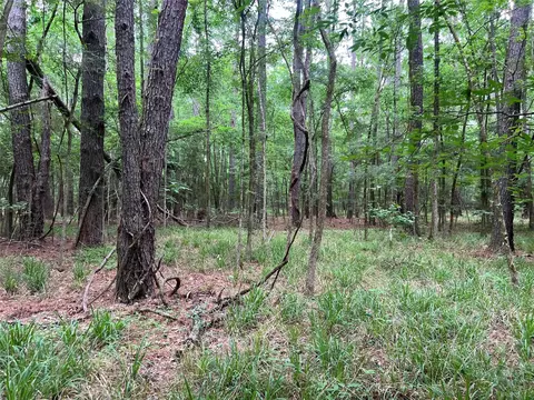 Other - 00 Wilderness Rd, Point Blank, TX 77364 photo 13 of 14