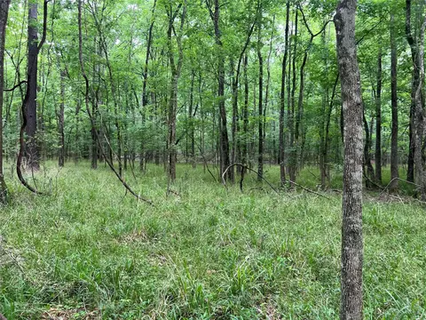 Other - 00 Wilderness Rd, Point Blank, TX 77364 photo 14 of 14