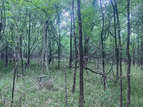 Other - 00 Wilderness Rd, Point Blank, TX 77364 photo 3 of 14