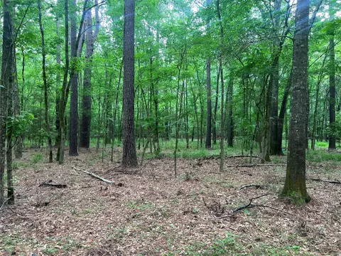 Other - 00 Wilderness Rd, Point Blank, TX 77364 photo 6 of 14