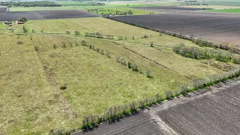 View/Area - 4439 Schultz Rd, Damon, TX 77430 photo 10 of 20