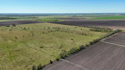 Other - 4439 Schultz Rd, Damon, TX 77430 photo 1 of 4