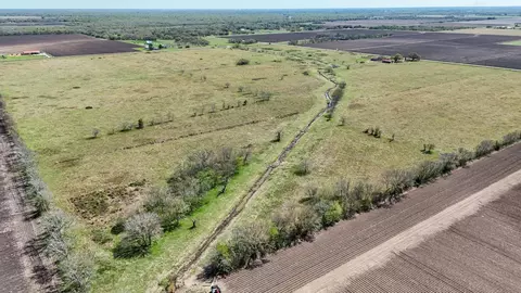 View/Area - 4439 Schultz Rd, Damon, TX 77430 photo 13 of 20