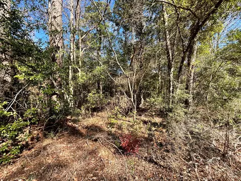 lot26 Buckingham Dr, Ivanhoe, TX 75979