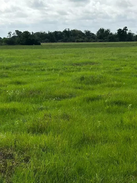 0 Katy Hockley Rd, Katy, TX 77493