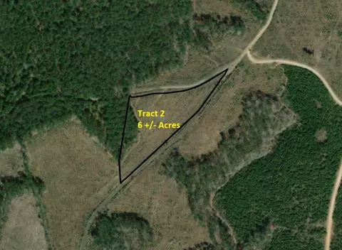 lot2 Denning Cr 255, San Augustine, TX 75972