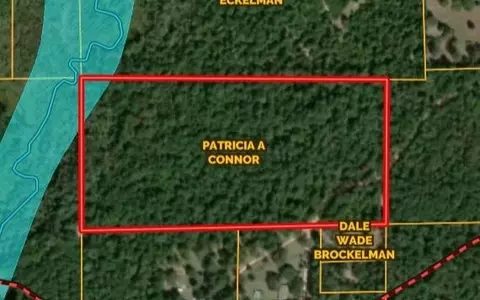 tbd Dillion Rd, Livingston, TX 77351