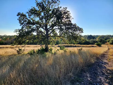 1332 Short Rd, Vanderpool, TX 78885 photo 3