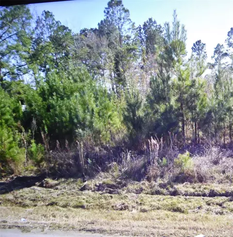 50 County Road 3479a, Cleveland, TX 77327