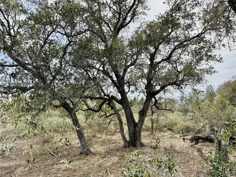 17 20 Acres Friar Rd, Cuero, TX 77954