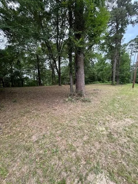 299 Hideaway Dr, Livingston, TX 77351