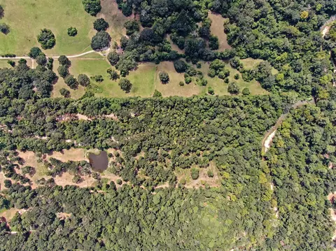 G Hayden Road, Conroe, TX 77306 photo 6
