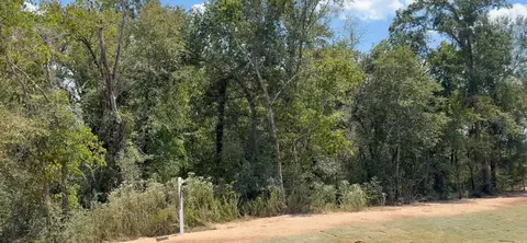 9734 Lakeside Oaks Drive Dr, Plantersville, TX 77363