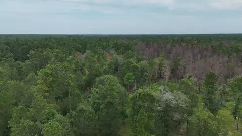 0 Tom Marsh Rd, Livingston, TX 77351