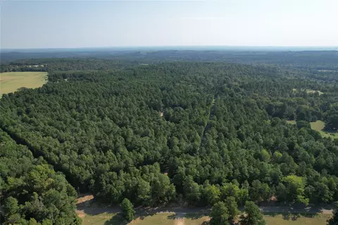 tbd An County Road 1220, Grapeland, TX 75844