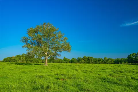 0 Farm To Market 256, Woodville, TX 75979