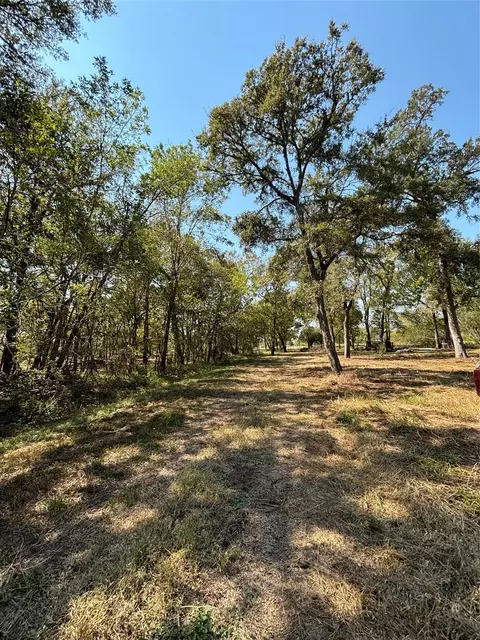 1014 Baker, Rosenberg, TX 77471 photo 5