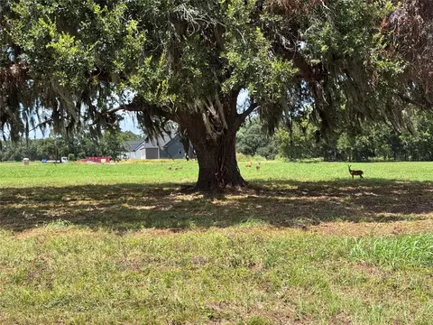 1156 Frontier Trl, Angleton, TX 77515 photo 8