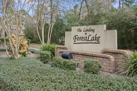 Other - 74 E Lakeridge Dr, The Woodlands, TX 77381 photo 1 of 9