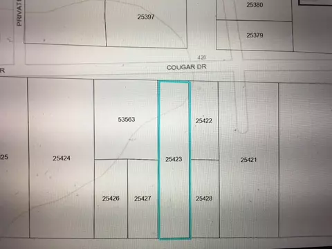456 Cougar Dr, Buna, TX 77612