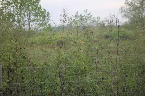 0 Englin, Winnie, TX 77277 photo 9