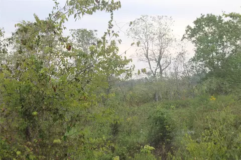 0 Englin, Winnie, TX 77277 photo 7