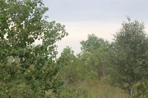0 Englin, Winnie, TX 77277 photo 5