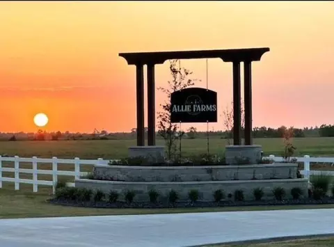 1095 Allie Ln, Dayton, TX 77535