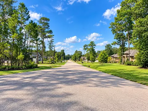 27701 Concho Dr, Splendora, TX 77372 photo 4