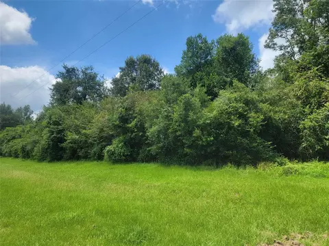 00 Farm Pasture Rd, Shepherd, TX 77371