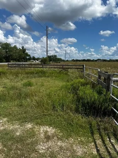 tbd Fm 1994 Rd, Guy, TX 77444 photo 8