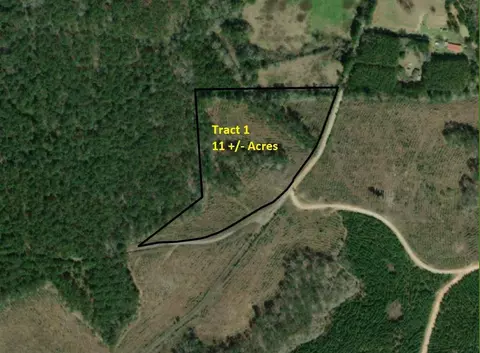 Tract 1 Denning Cr 255, San Augustine, TX 75972