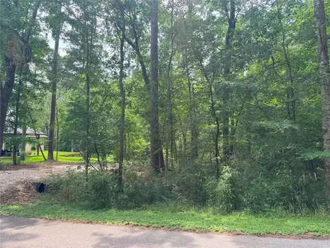77 S Pine Harbour Dr, Coldspring, TX 77331 photo 4