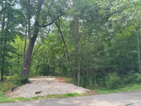 77 S Pine Harbour Dr, Coldspring, TX 77331 photo 5