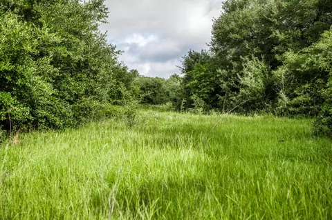 6 South Nassau Road, Round Top, TX 78954