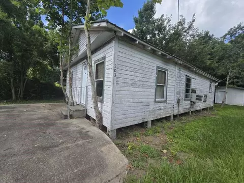 203 Cedar Cir, Daisetta, TX 77533