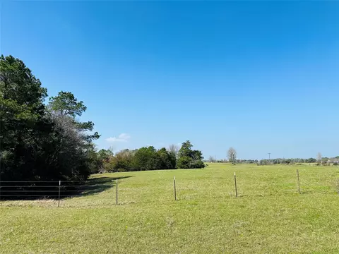 10 Ac County Rd 212, Buffalo, TX 75831