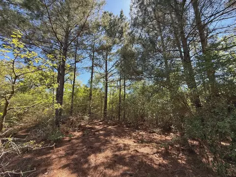 10 Ac Cr 2926, Buffalo, TX 75831